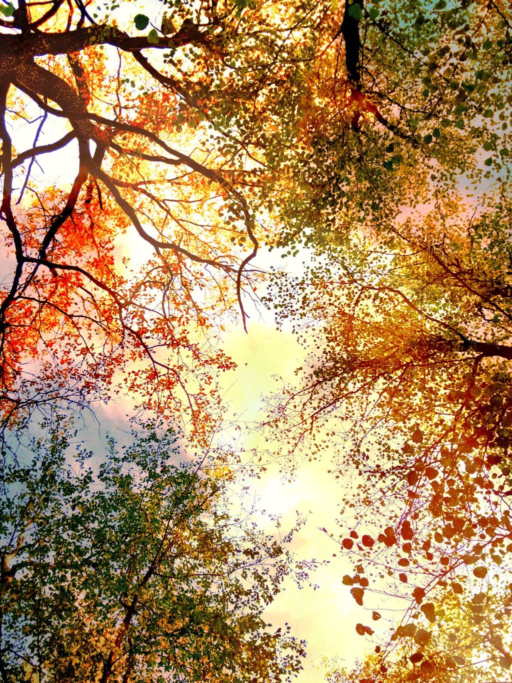 I kärlek och&nbsp;ljus?