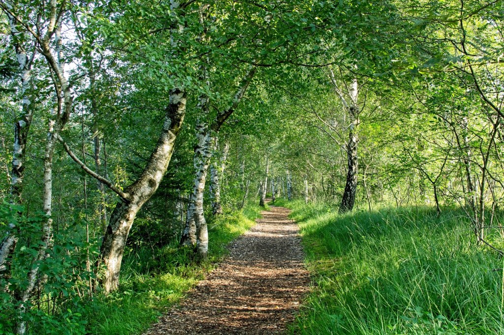 Stegen bredvid stigen