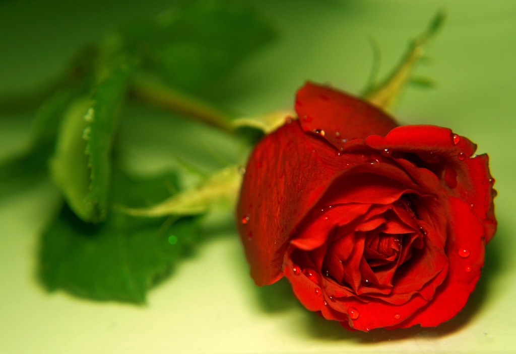 Döden vid min&nbsp;sida